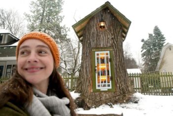 Mulher transforma árvore de 110 anos em pequena biblioteca gratuita em seu jardim