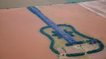 A história do fazendeiro que desenhou um violão com 7 mil árvores para homenagear esposa
