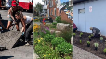 Despavimentar para semear plantas, a iniciativa que está bombando em diversas cidades do mundo