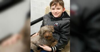Menino visita um abrigo e escolhe o cão mais velho de todos para adotar