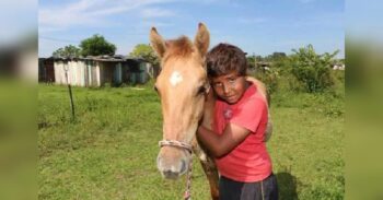 Menino escreve carta pedindo milho para o Papai Noel para alimentar o seu cavalo