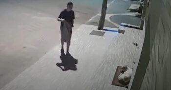 Homem é visto cobrindo cachorro que tremia de frio na rua