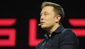 Idosa de 79 anos cai em golpe após acreditar estar namorando Elon Musk